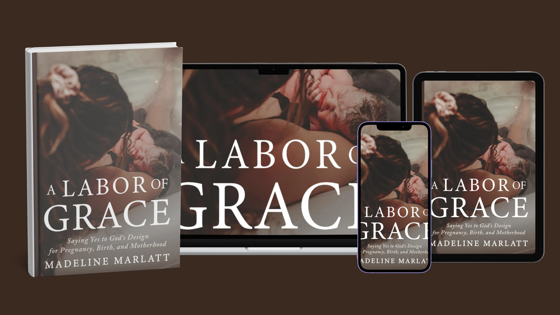 A Labor of Grace book cover