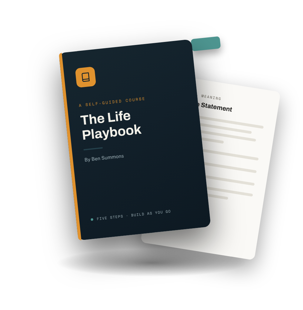 The Life Playbook