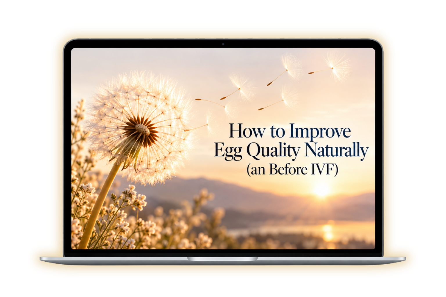 How to Improve Egg Quality Naturally and Before IVF