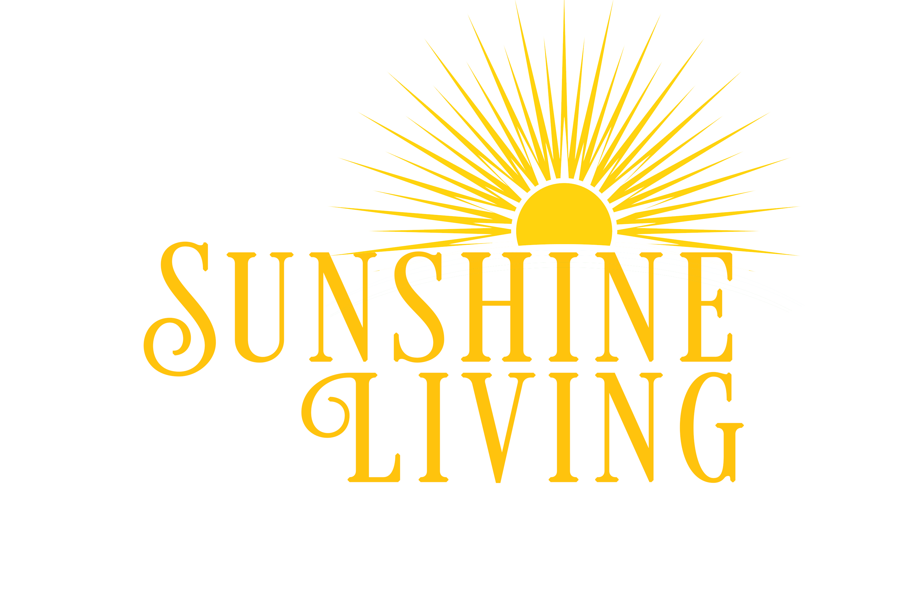 Footer Logo