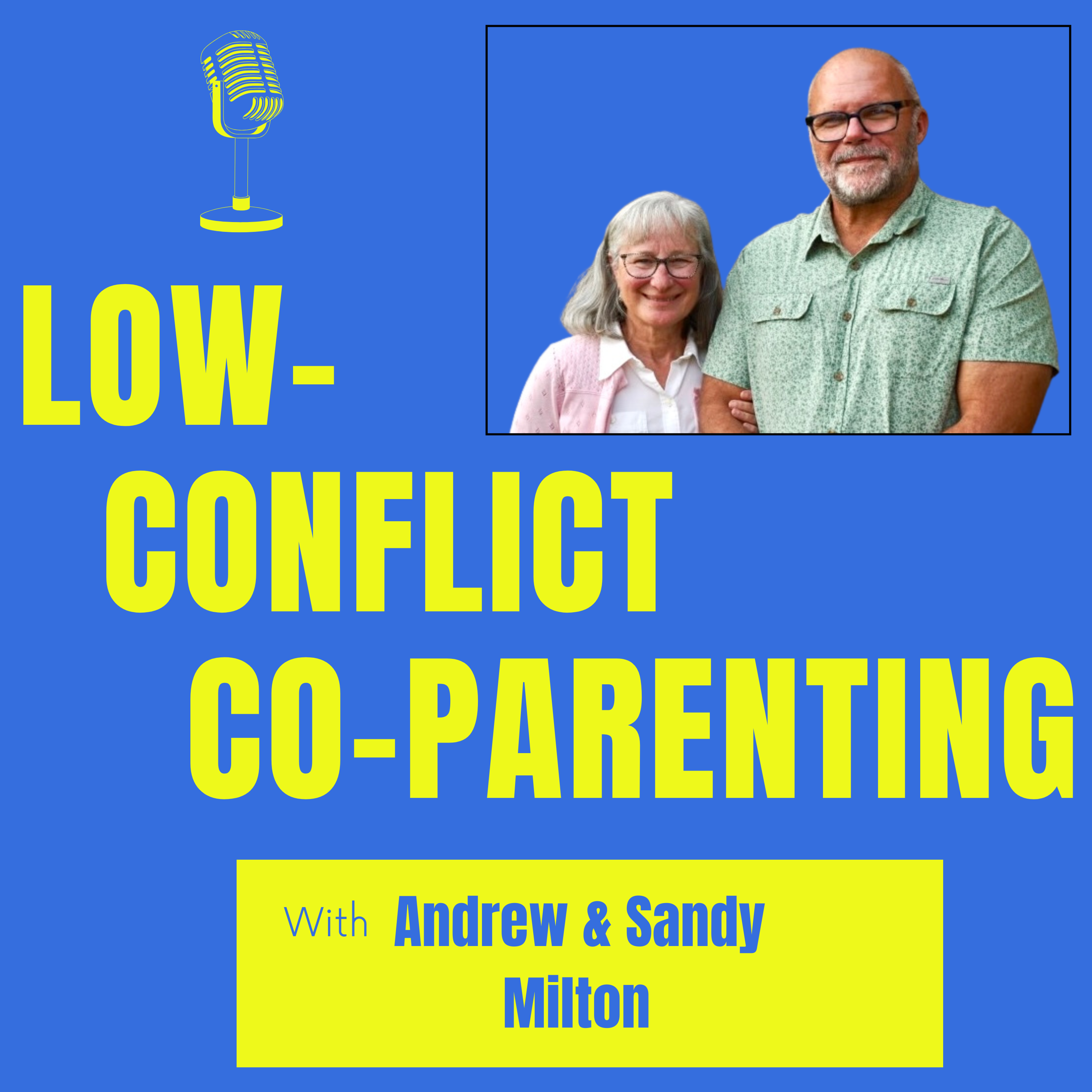 Low-Conflict Co-Parenting