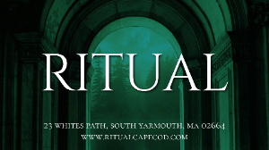 Header Logo