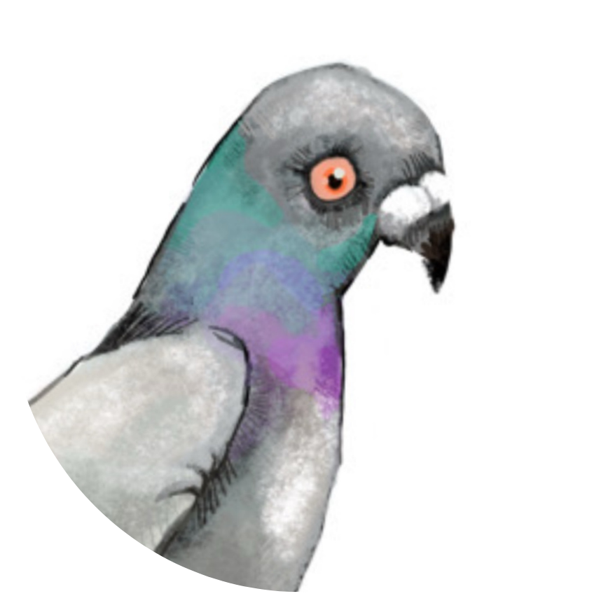 Header Logo