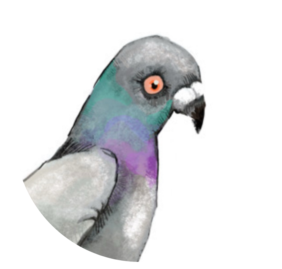 Header Logo
