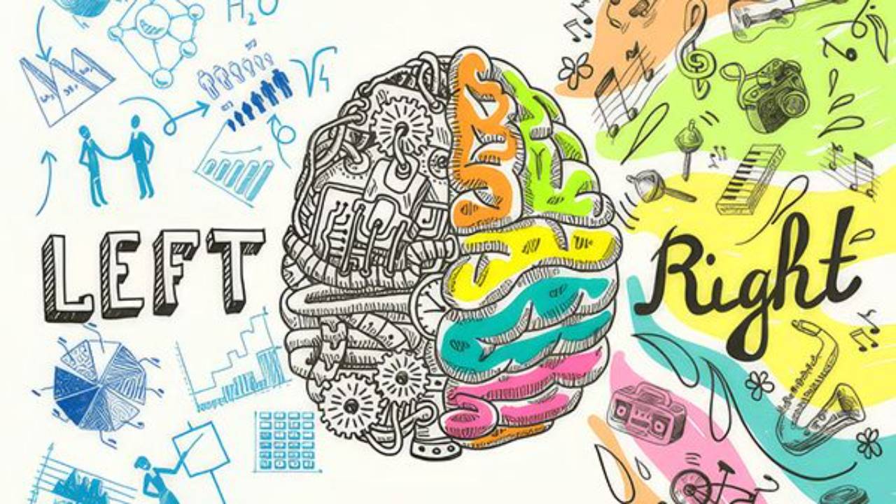 Left brain right brain illustration representing analytical vs intuitive thinking on the golf course