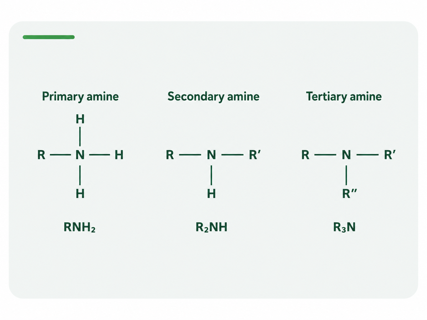 Amines topic image