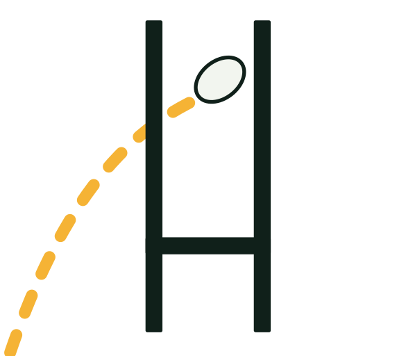 Understanding Rugby