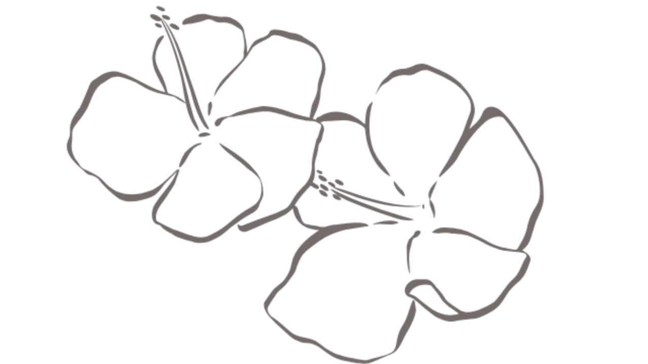 Header Logo