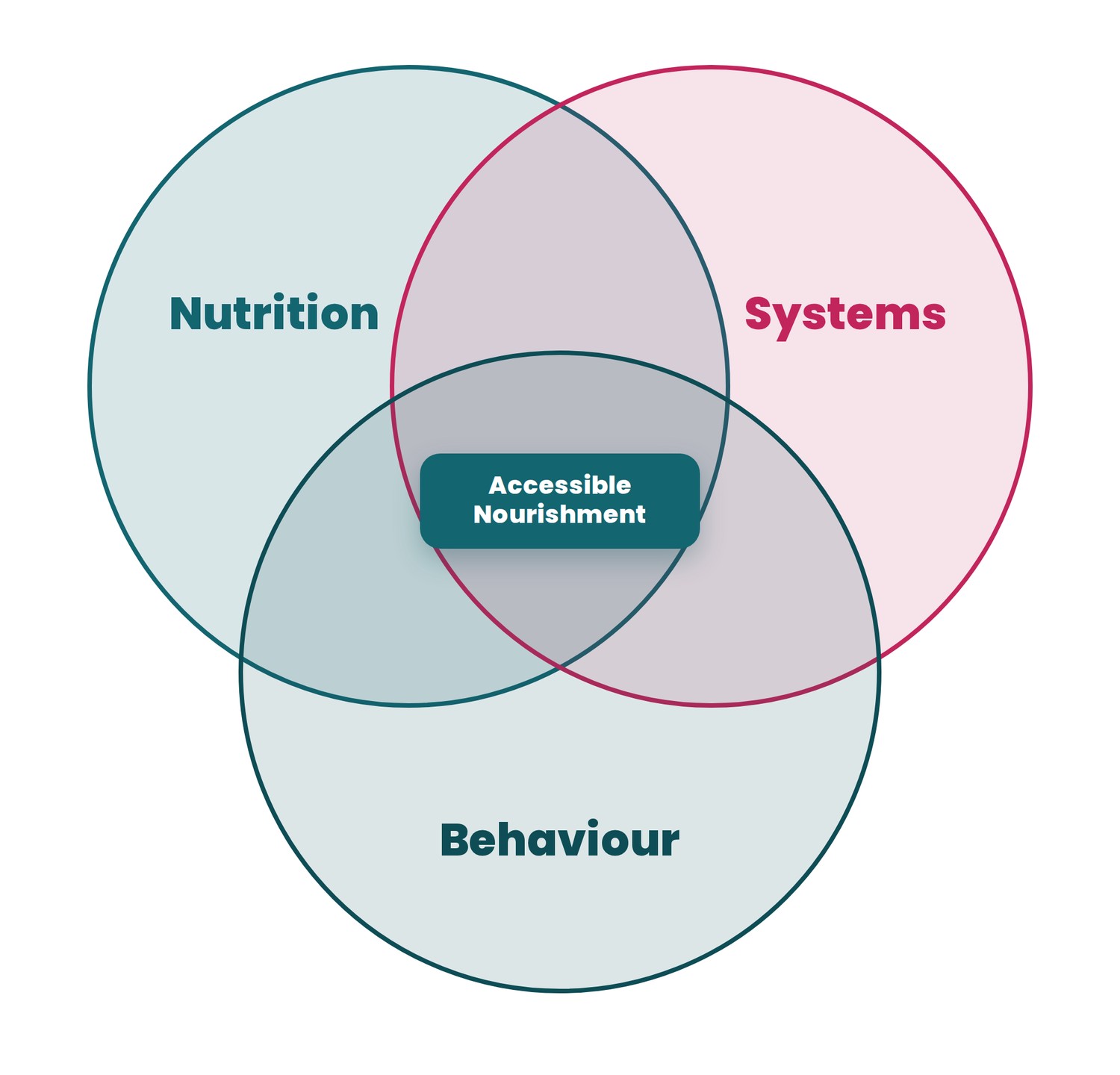 The Accessible Nourishment Framework: three overlapping circles for Nutrition, Systems and Behaviour, with Accessible Nourishment where they meet