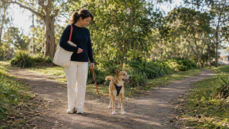 Dog and owner choosing a new direction on their walk
