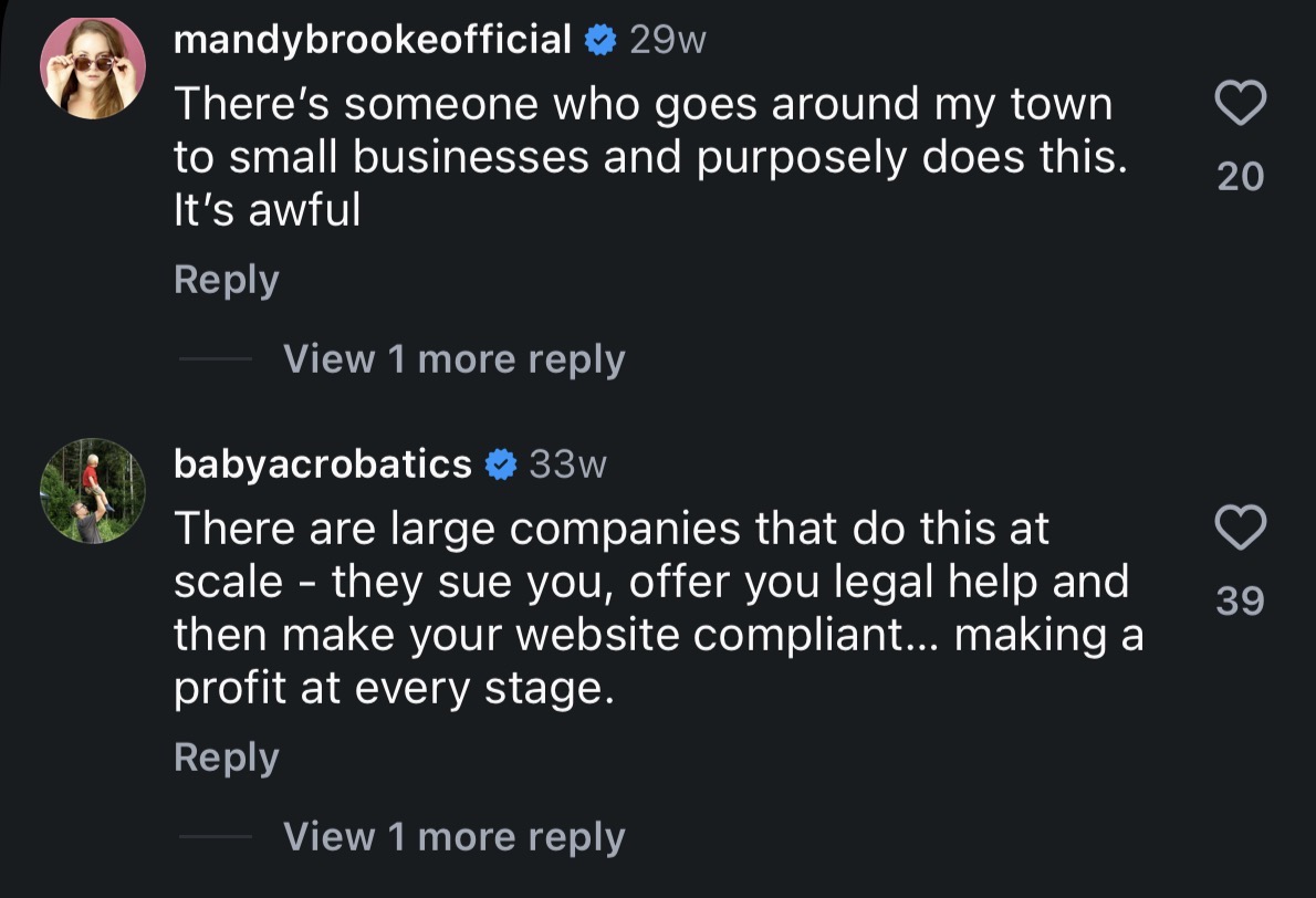 Instagram comment from a business owner who was targeted
