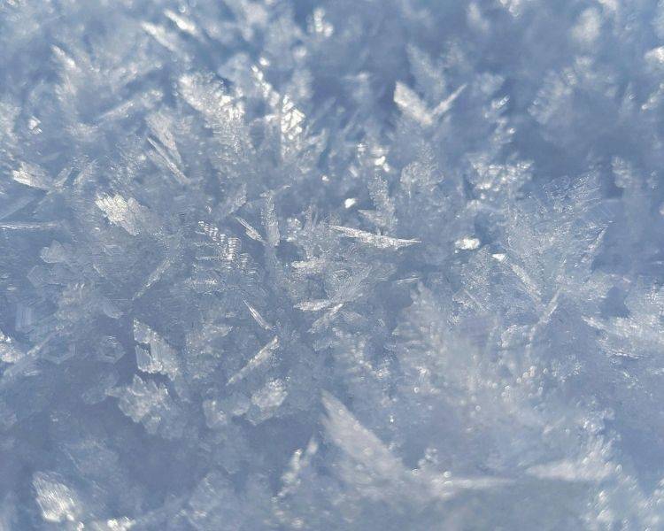 Close-up of delicate ice crystals in soft blue light.