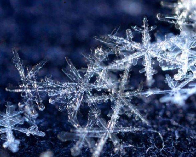 Cluster of delicate snowflakes against a dark blue background.