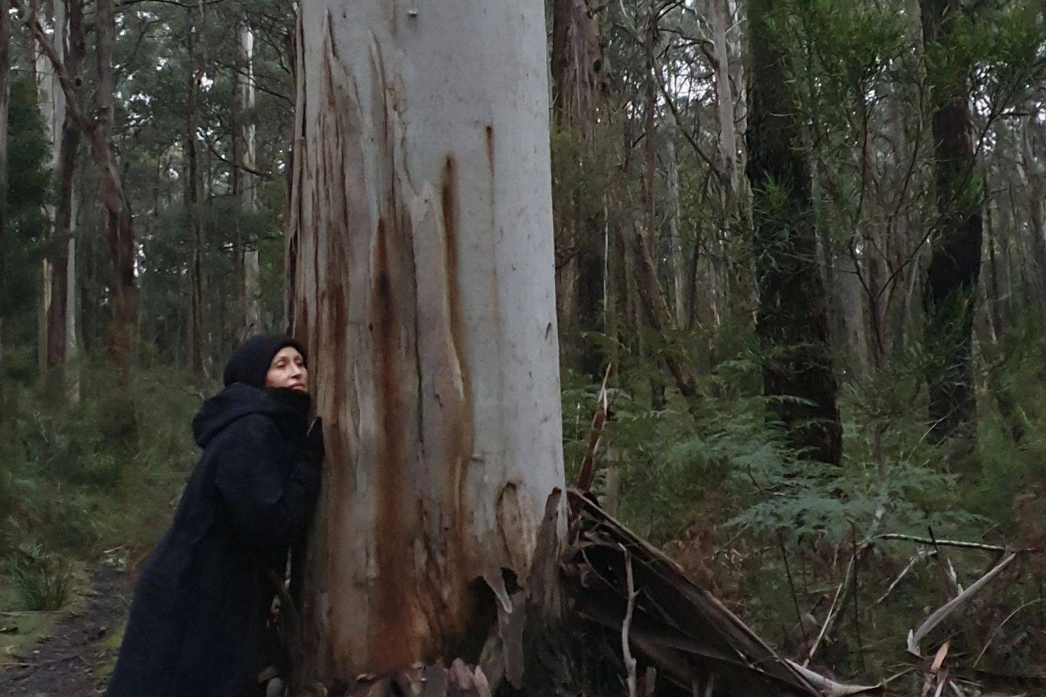 Chrissie Catling standing beside a large tree in a dense forest.