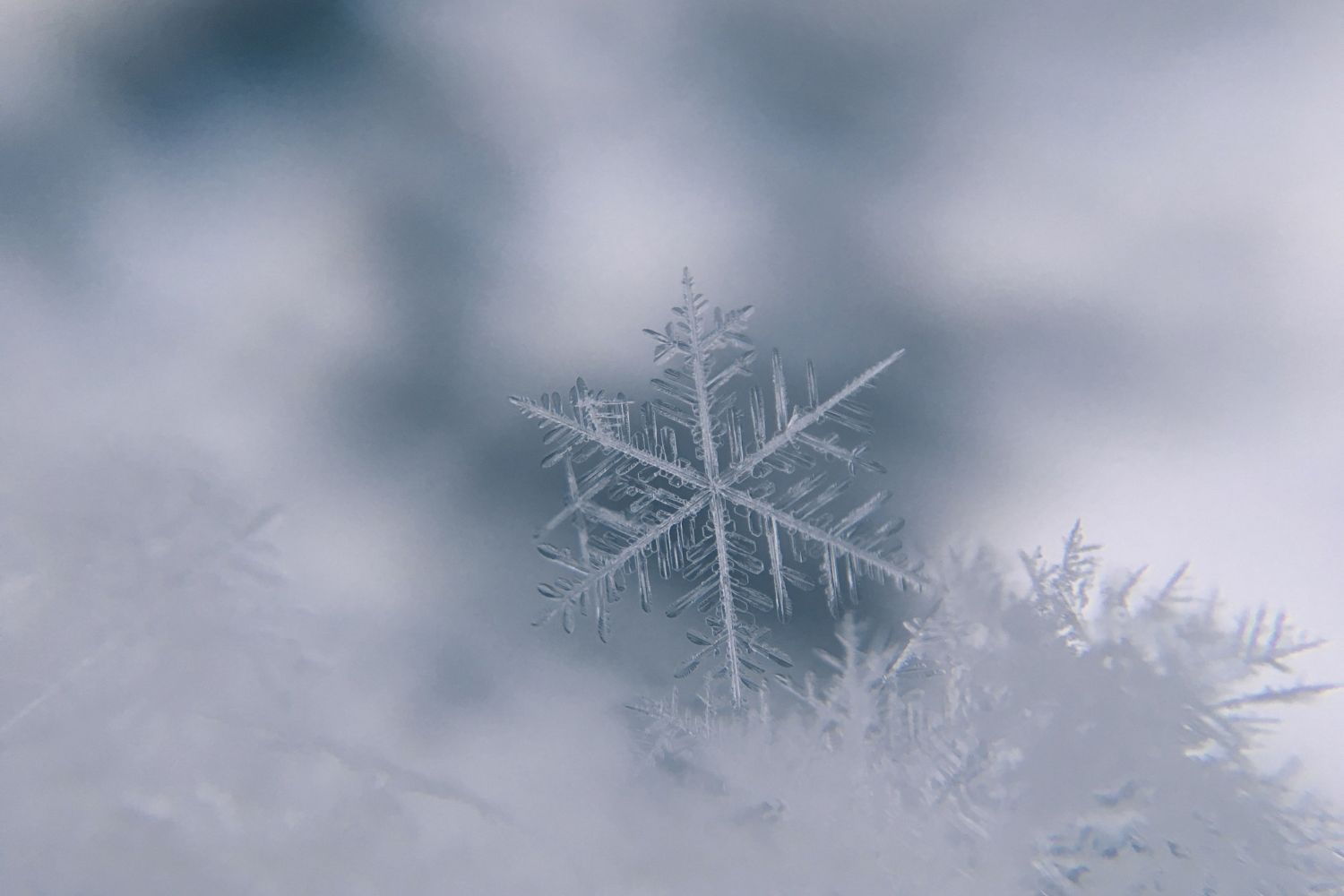 Detailed snowflake resting against a softly blurred icy background