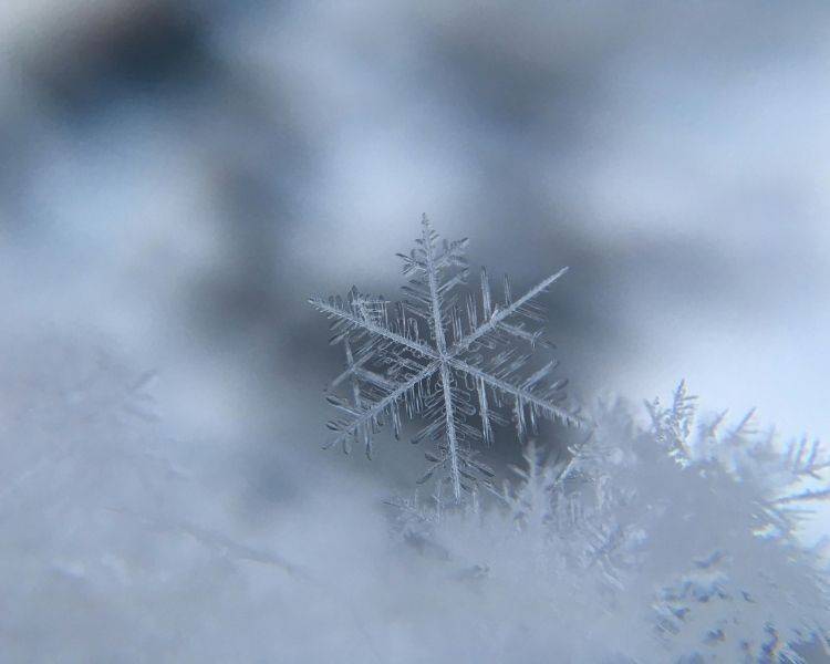 Detailed snowflake resting against a softly blurred icy background.