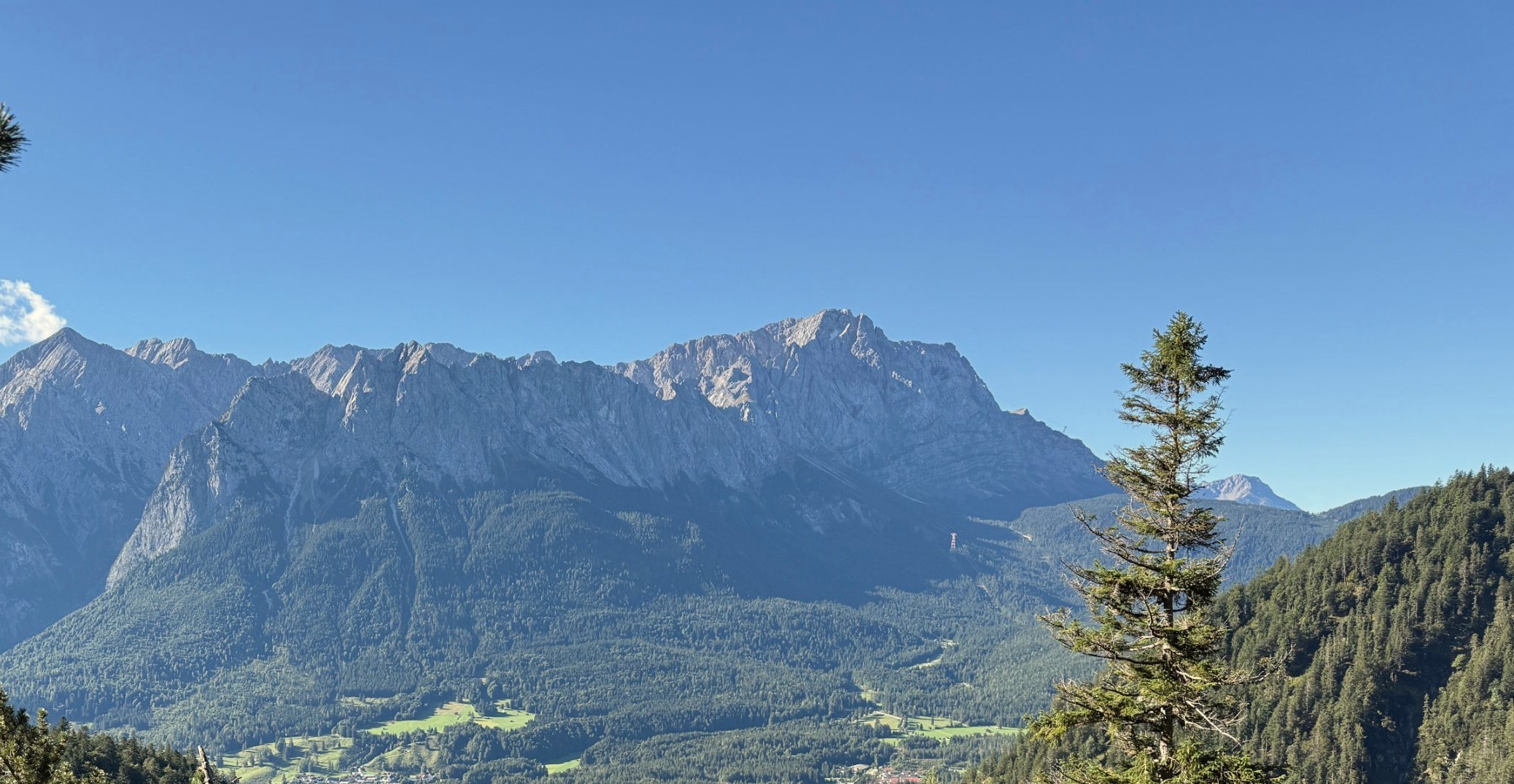 A mountain peak above a green valley, framed by pine trees
