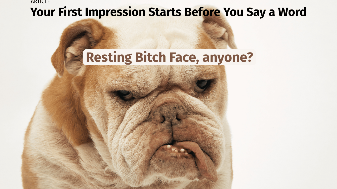 grumpy dog