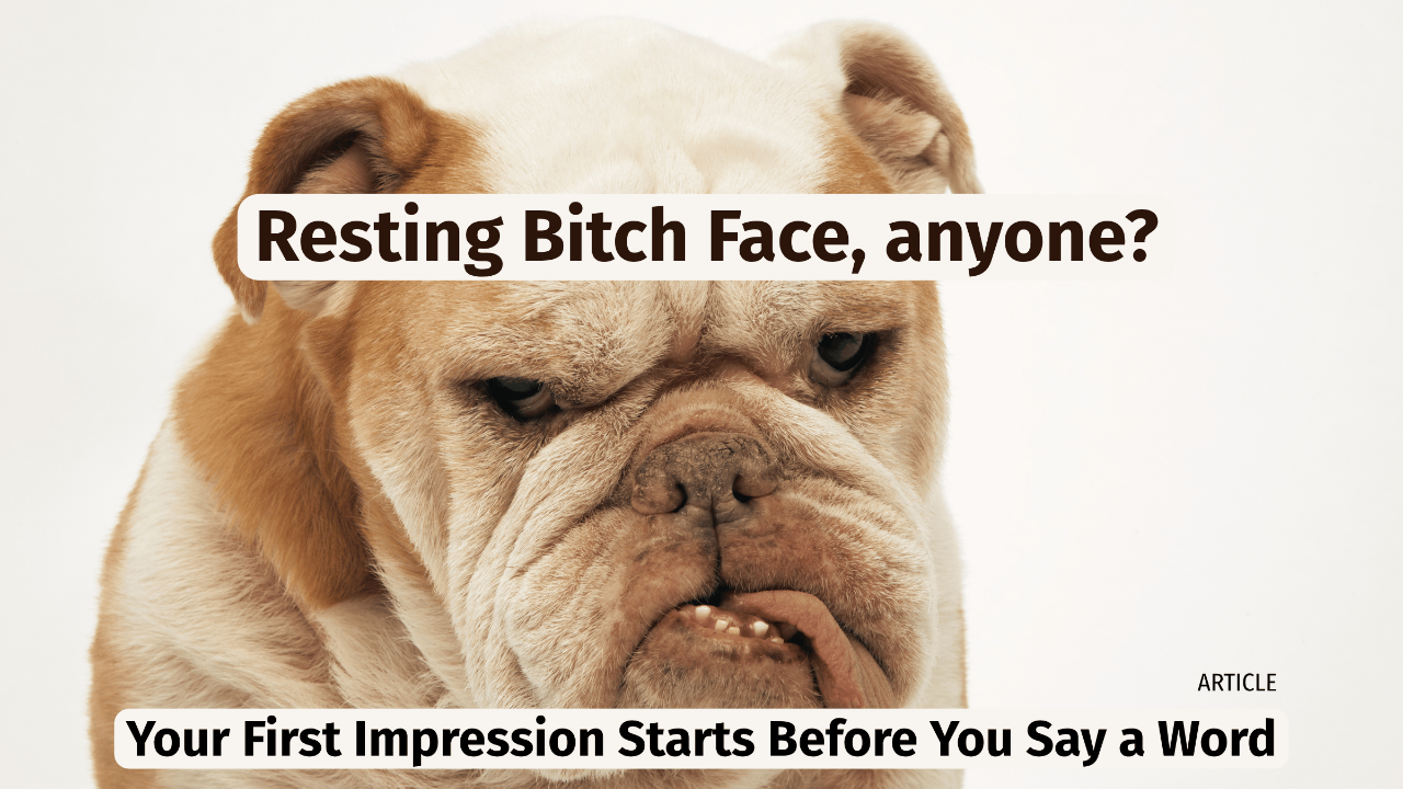 grumpy dog