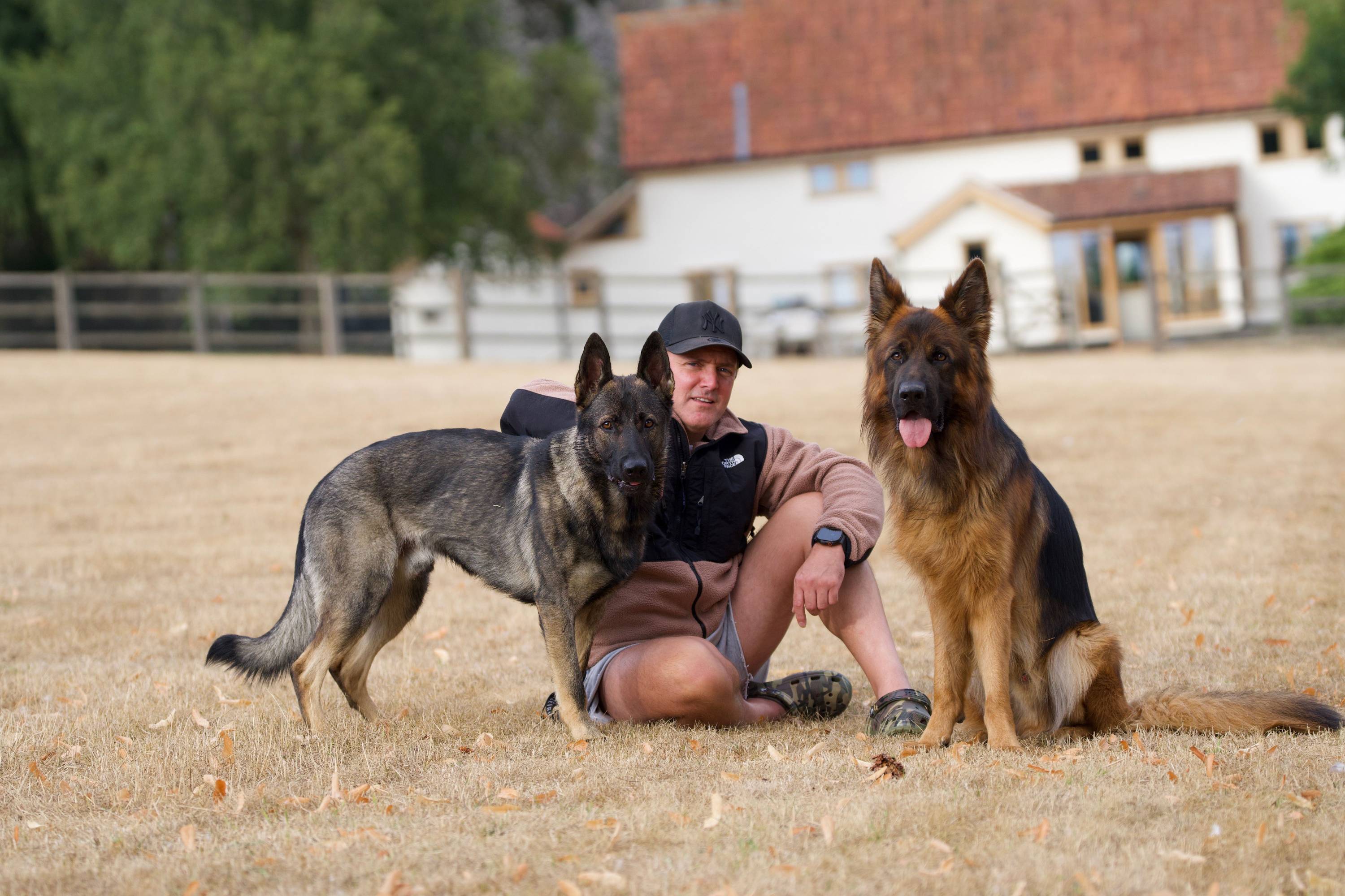 Home. Where your dog lives, trains, and is handed back to you.