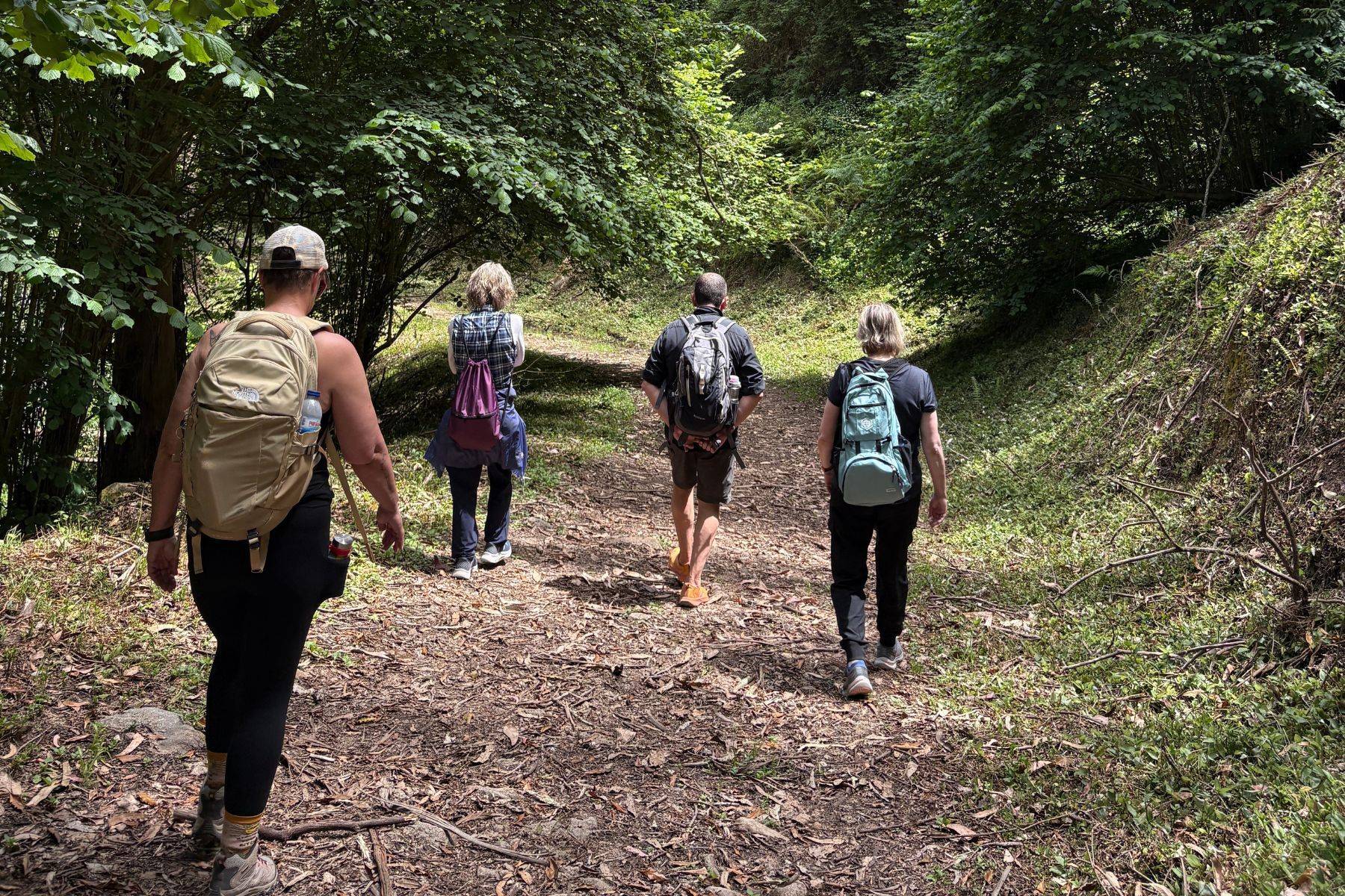 Hiking through a beautiful landscape