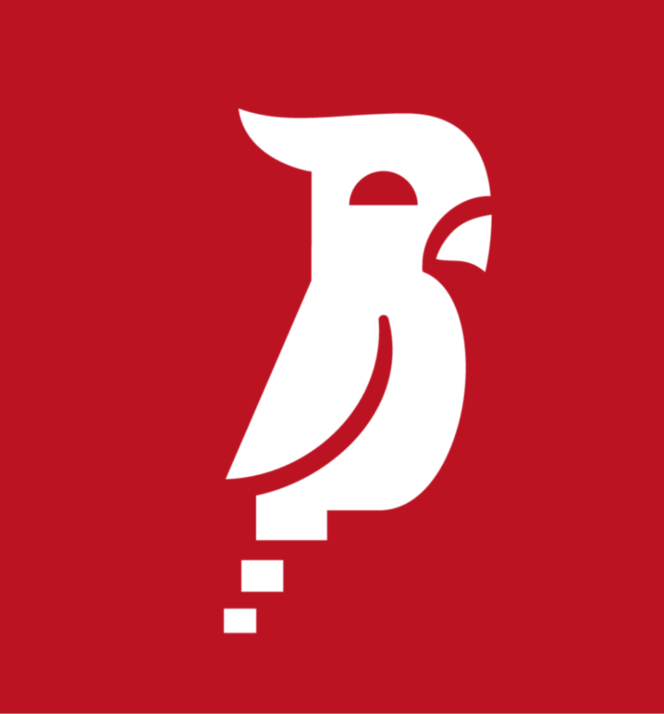 Footer Logo