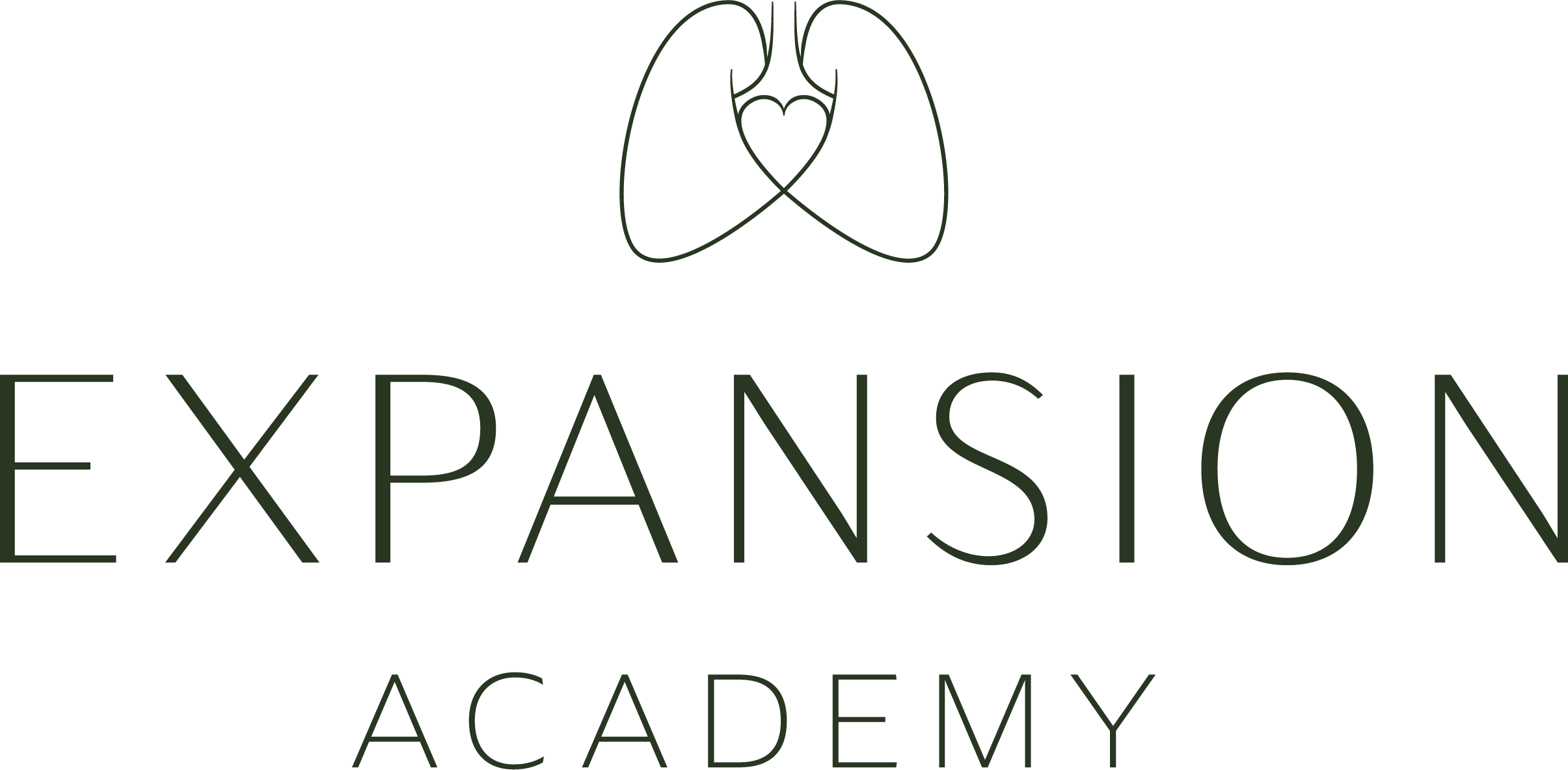 Expansion Academy logo