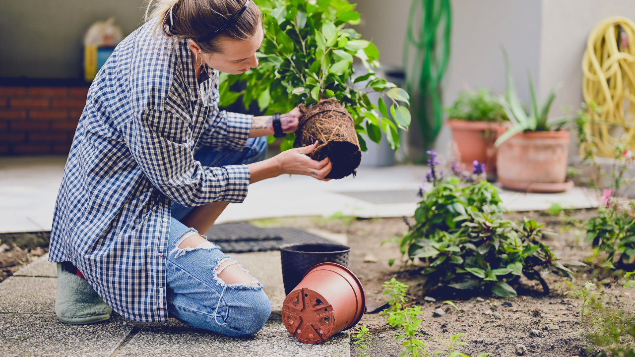 Woman gardening with no back pain on her knees