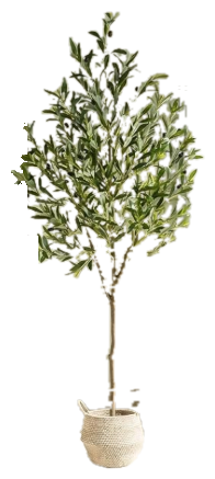 Faux olive tree in a woven basket