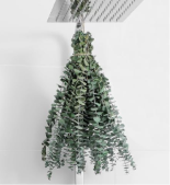 Bundle of dried eucalyptus
