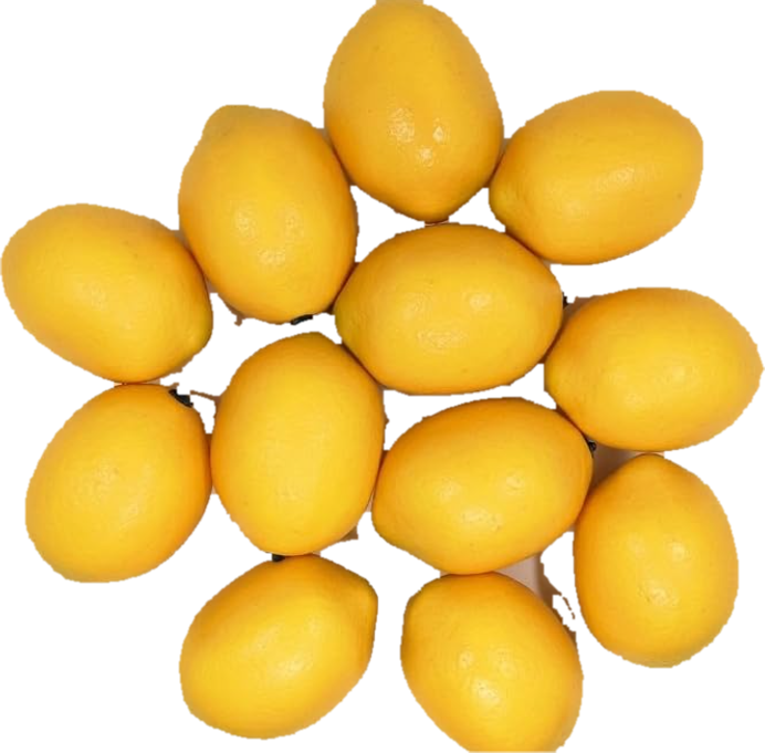 Twelve realistic faux lemons