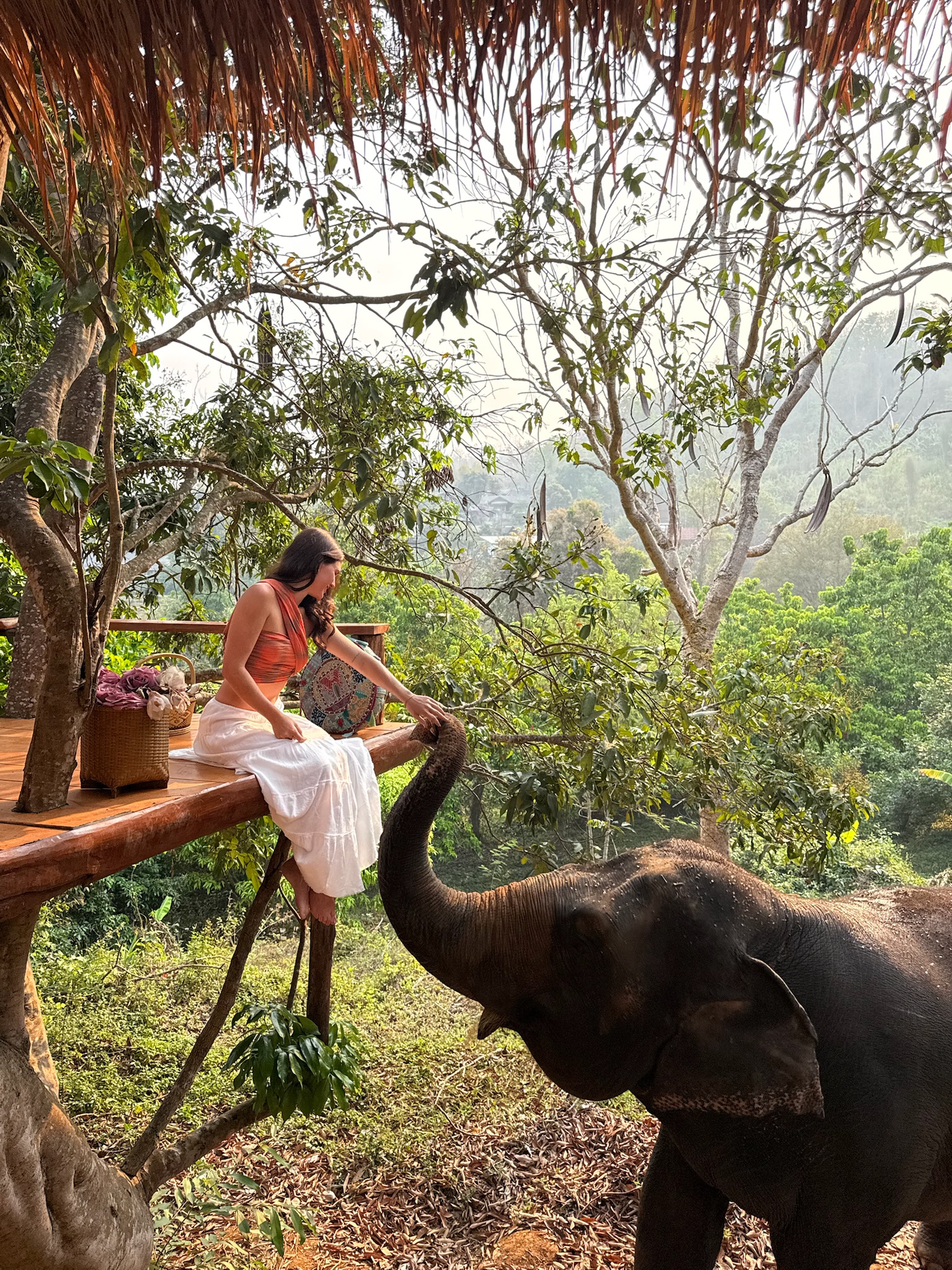 A woman in a treehouse in Asia reaching out to an elephant