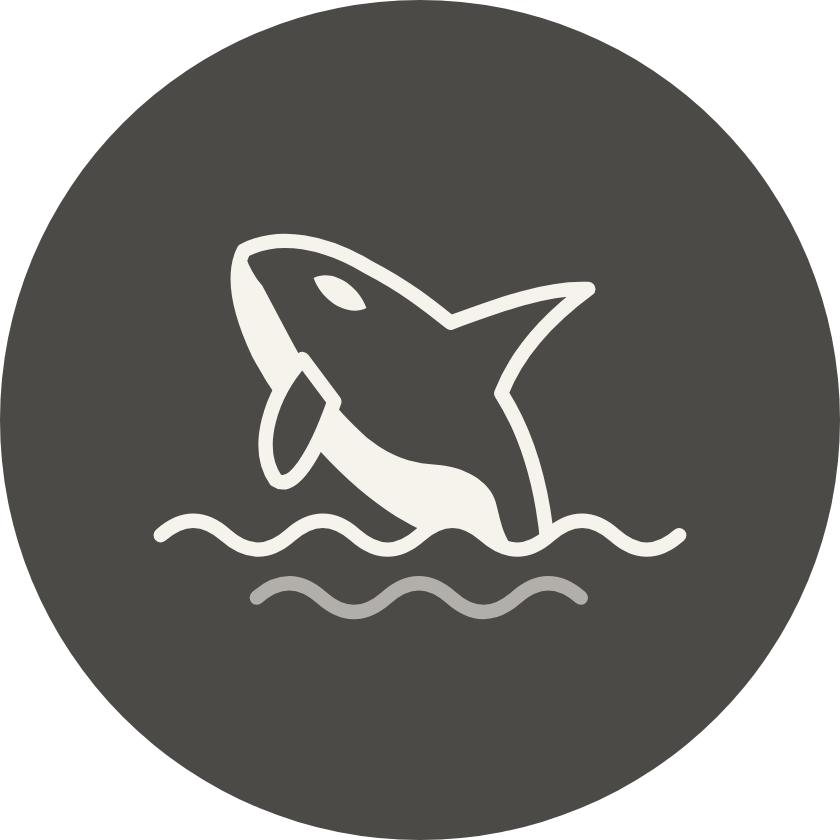 An orca