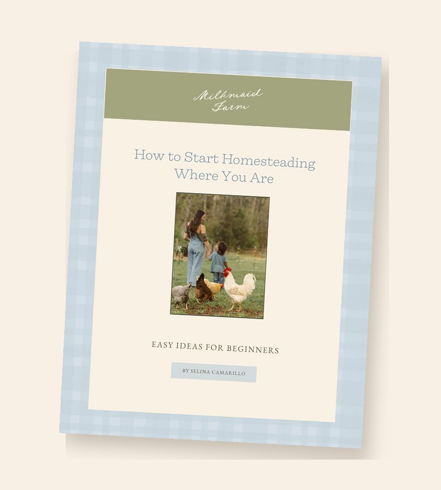How to Start Homesteading Where You Are guide cover