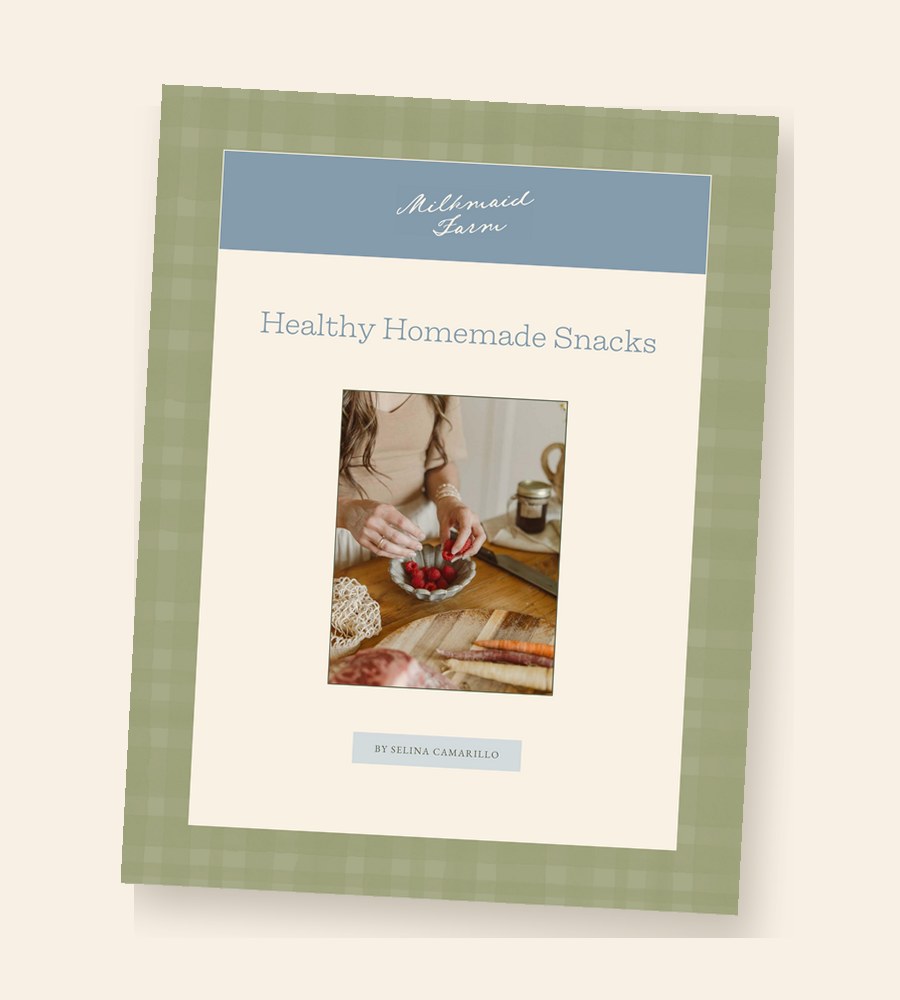 Healthy Homemade Snacks guide cover