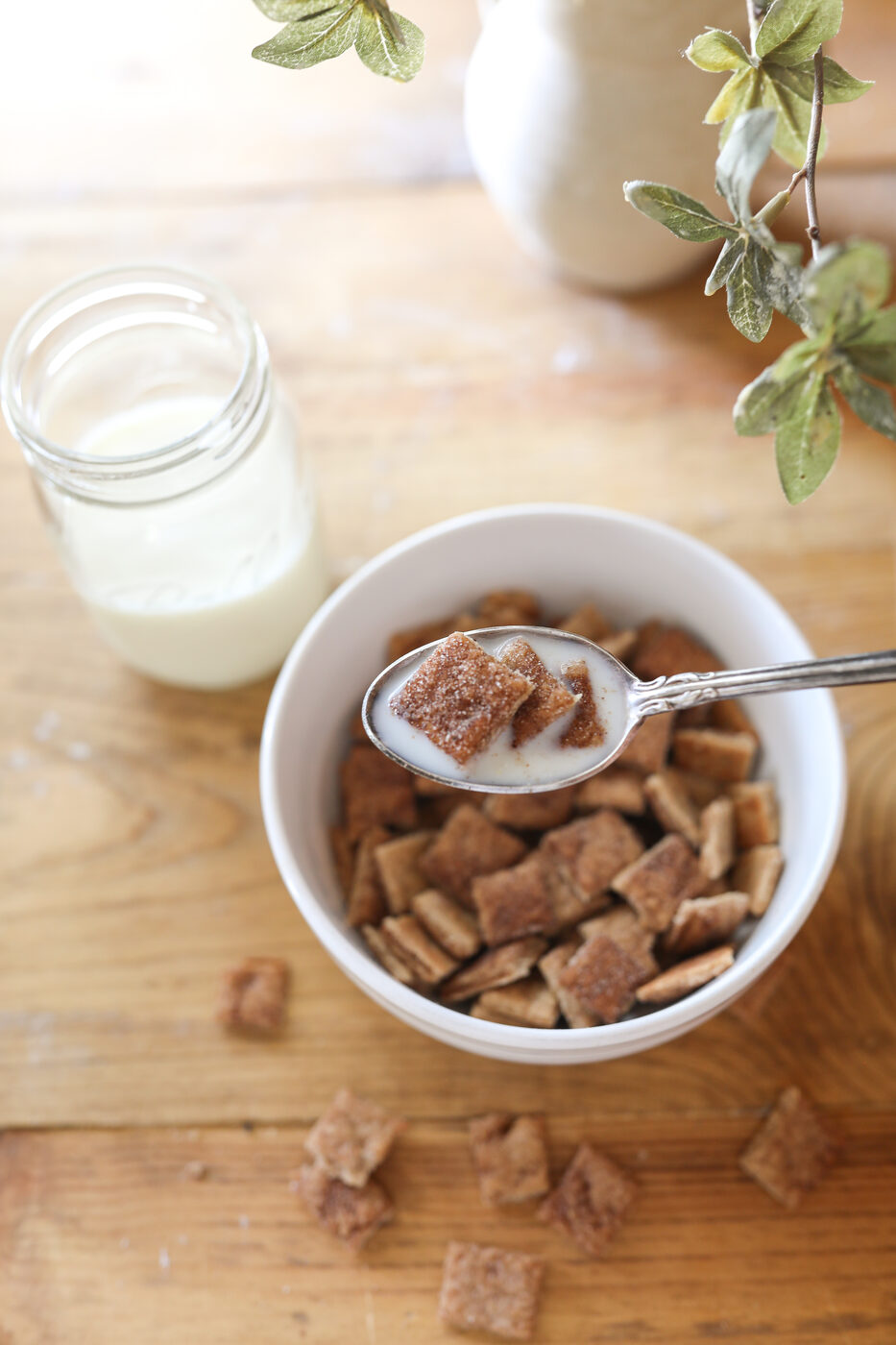 Homemade cinnamon cereal