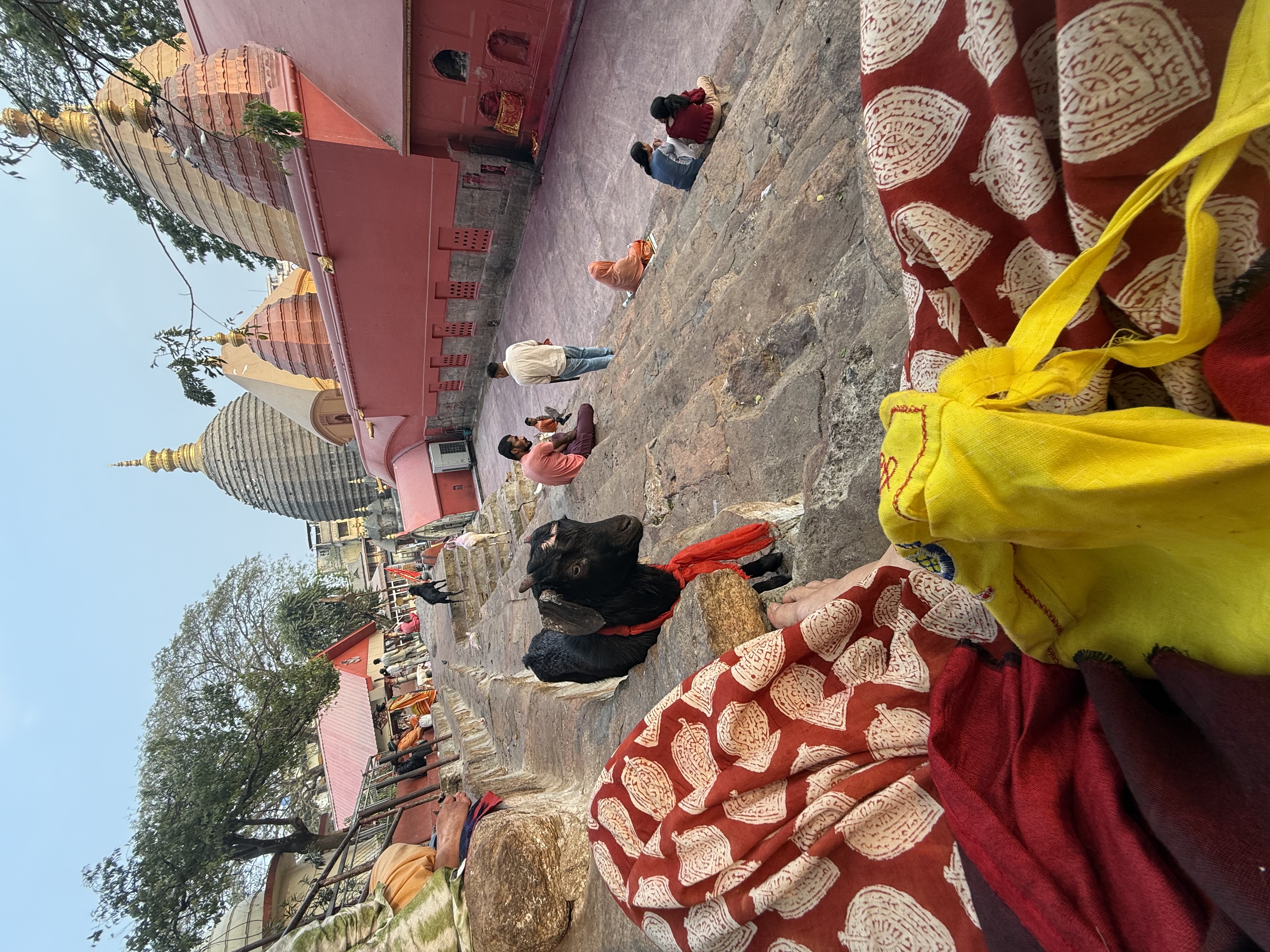 Indien Reise