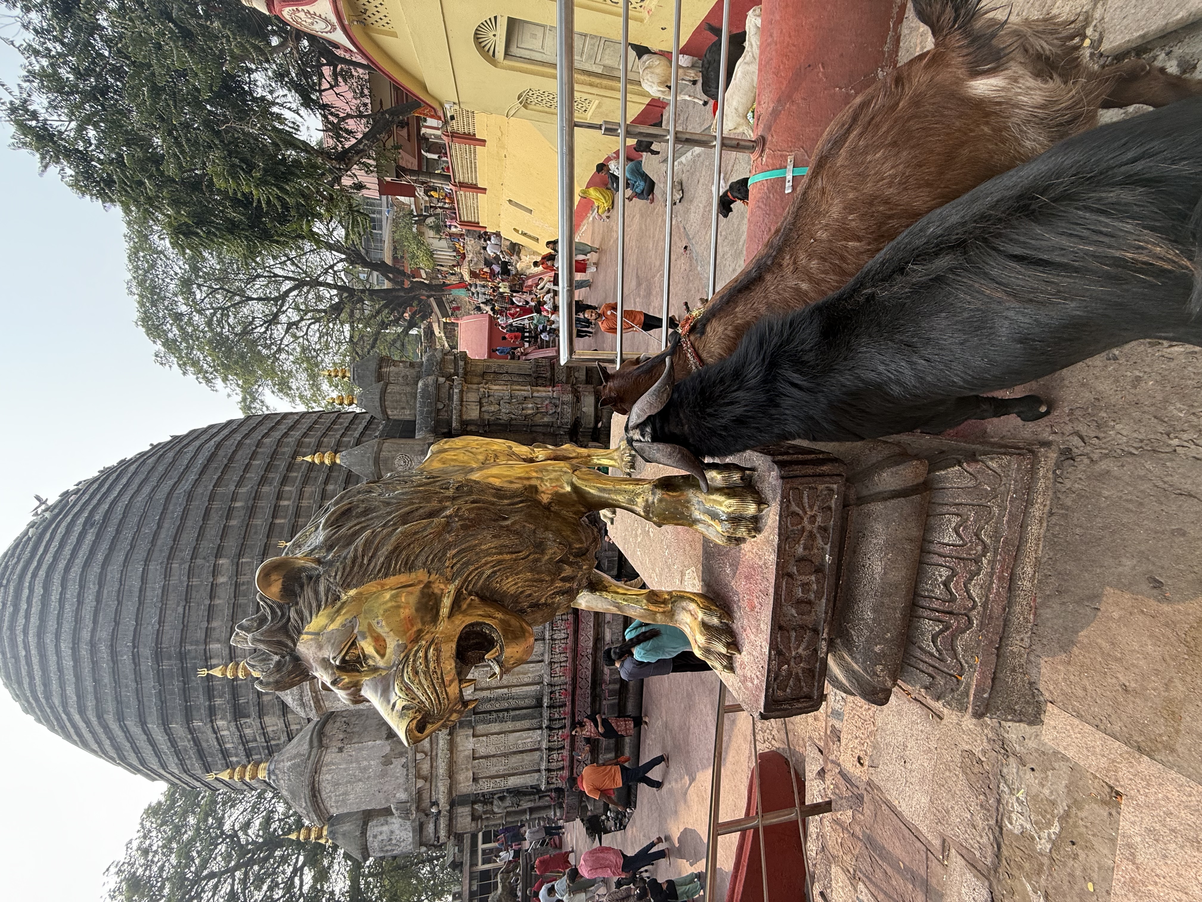 Indien Reise
