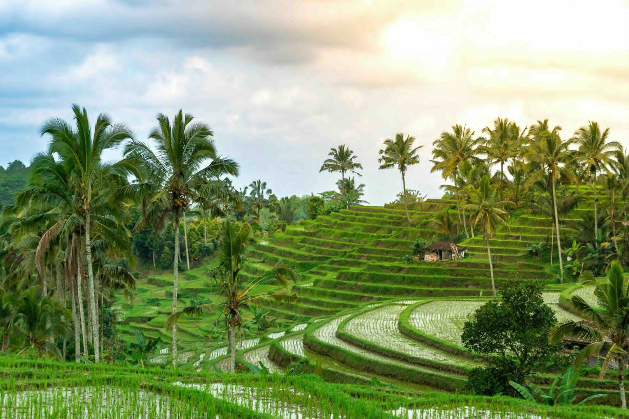 HER VISION Bali