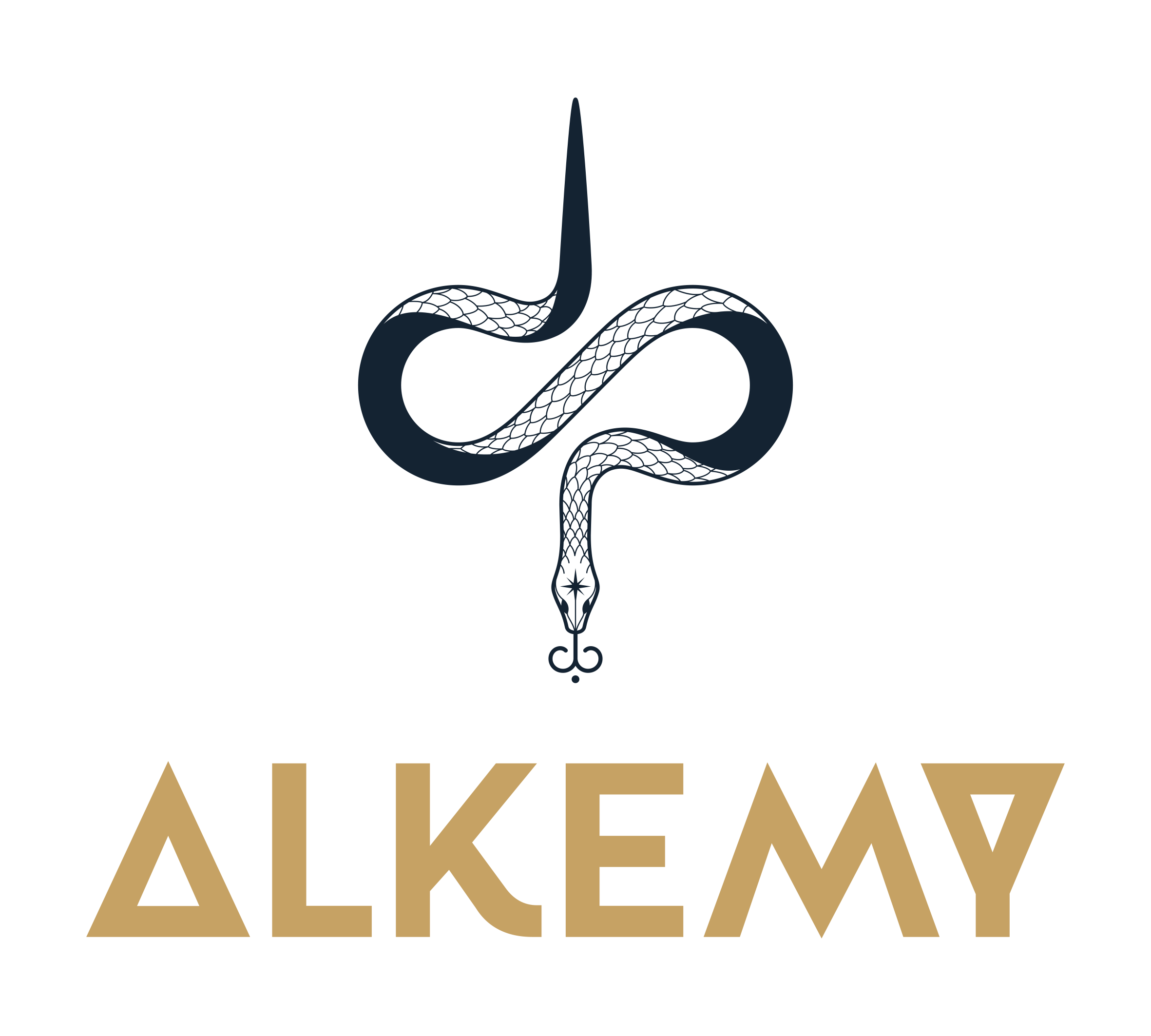 Logo ALKEMY Soul Studios Wien