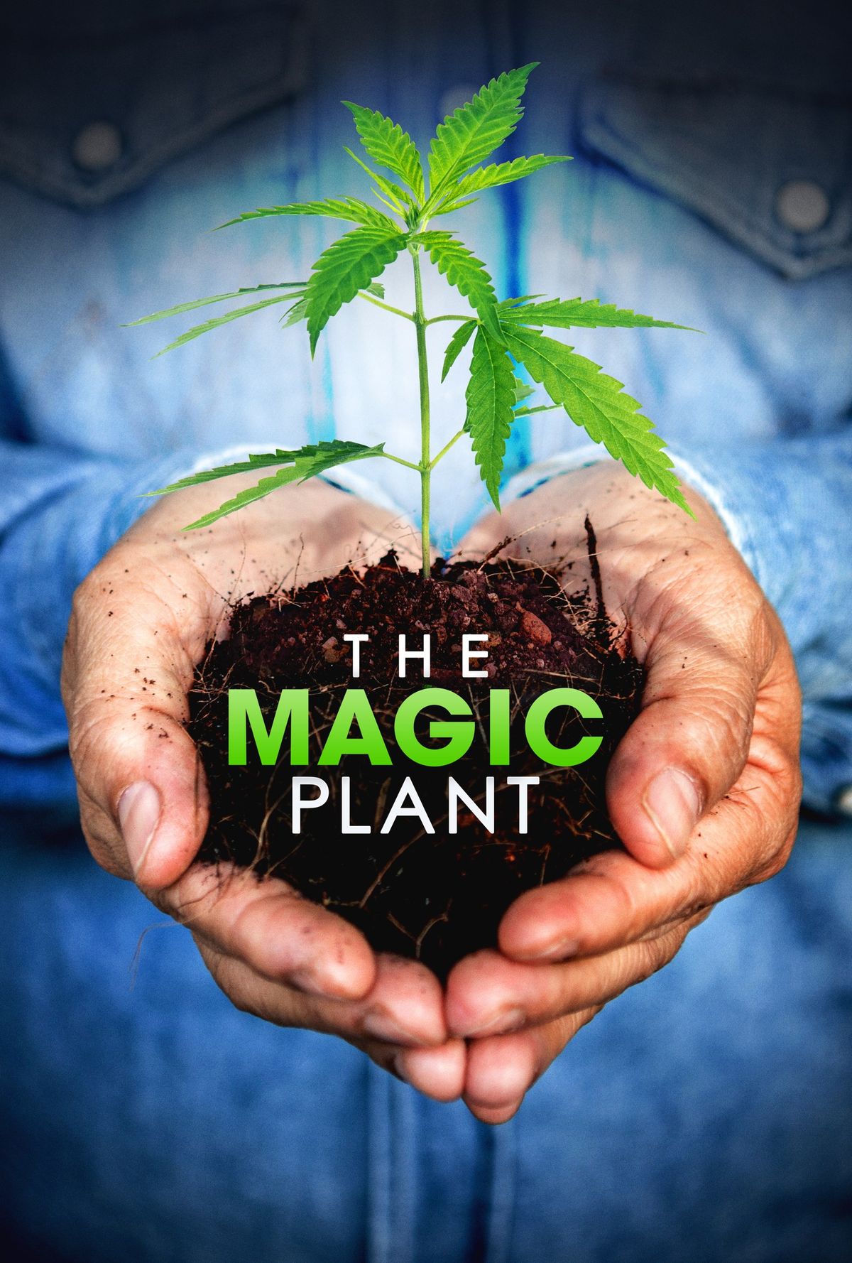 The Magic Plant