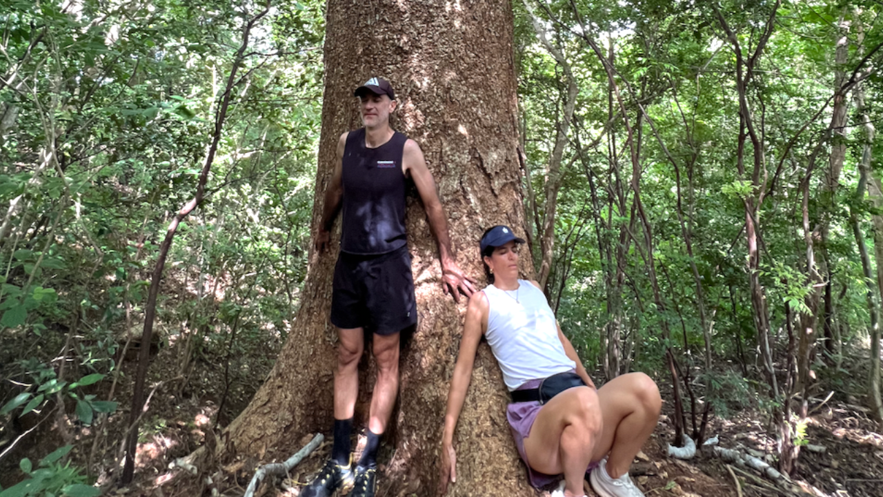 Experiencia inmersiva en la naturaleza de Nosara, Costa Rica
