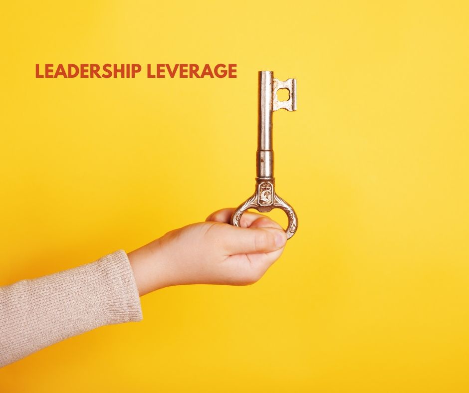 chiropractic business clarity 