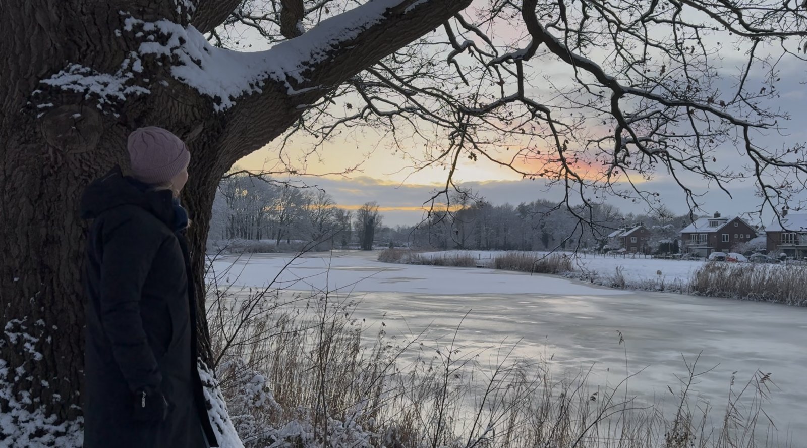 Hélène under a snow-covered oak, looking out over a frozen lake at sunset