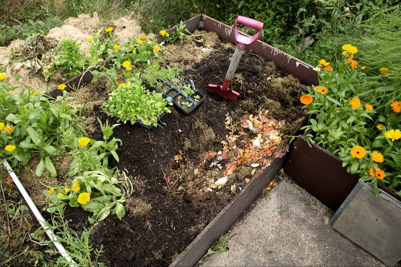 KOMPOSTKURS - grønne blader fra planter i hage med hvit tekst
