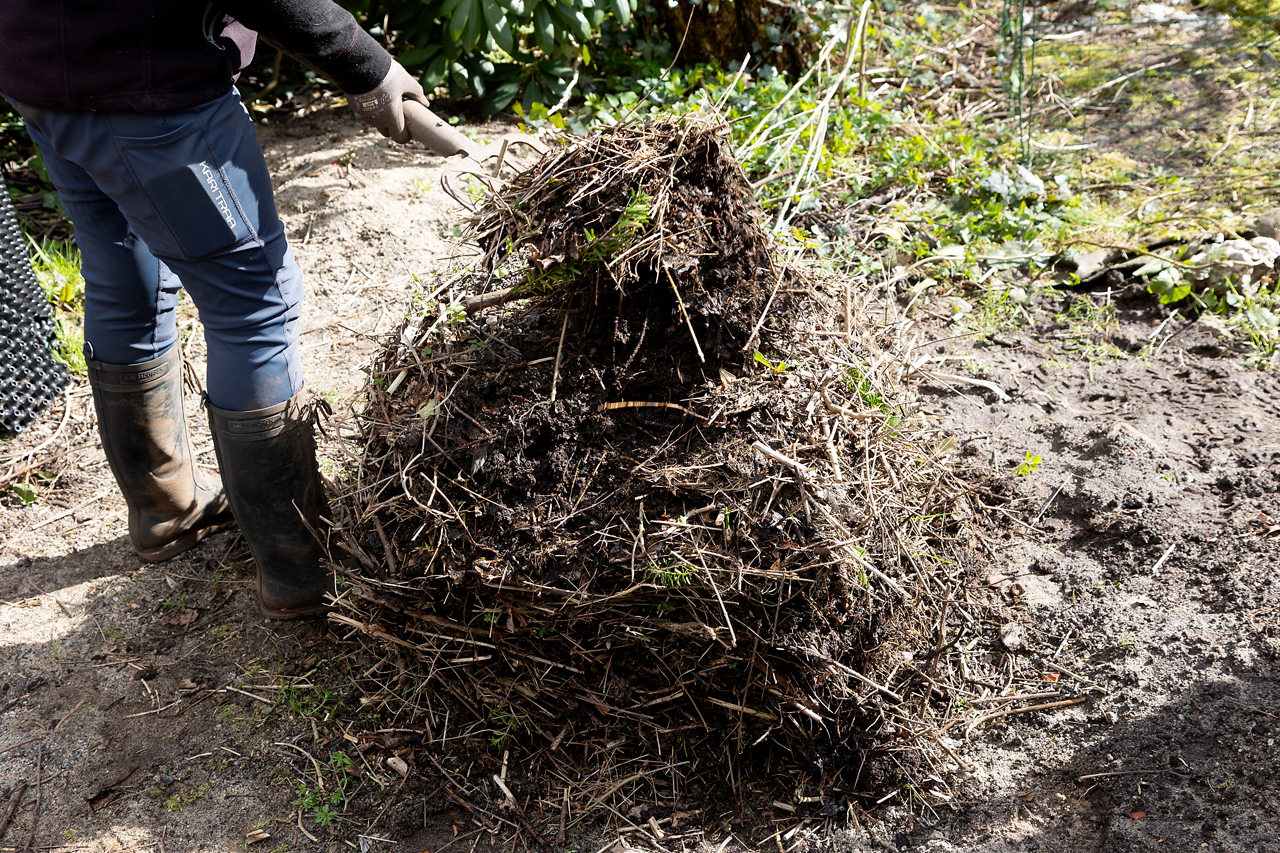 Person examining soil with roots and organic matter in gloved hands in garden setting.