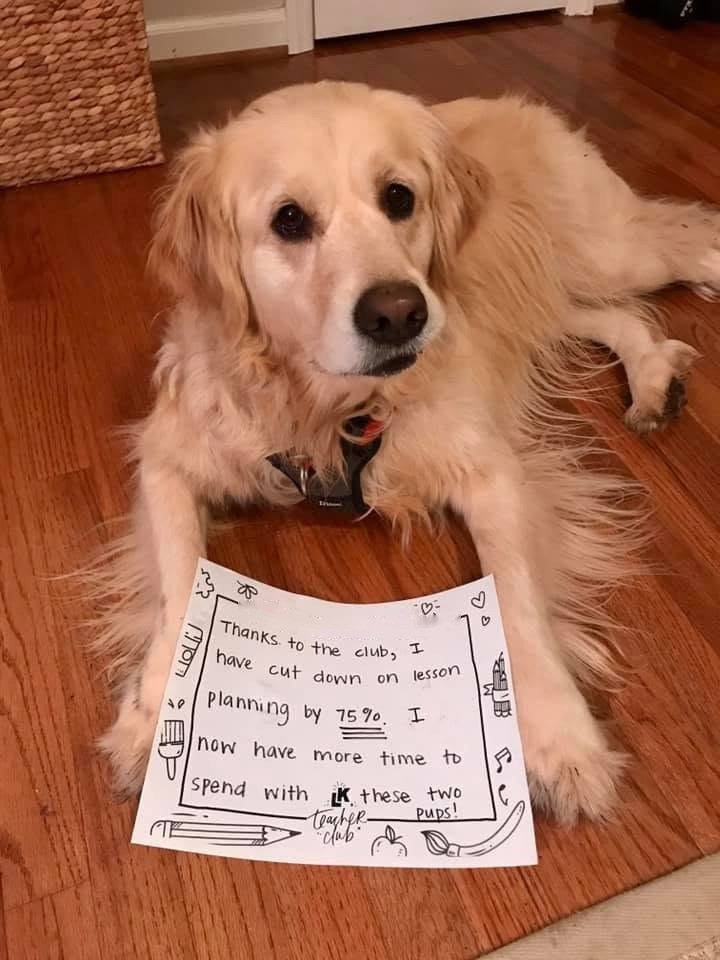 Hannah’s golden retriever with a handwritten #teacherclublove sign