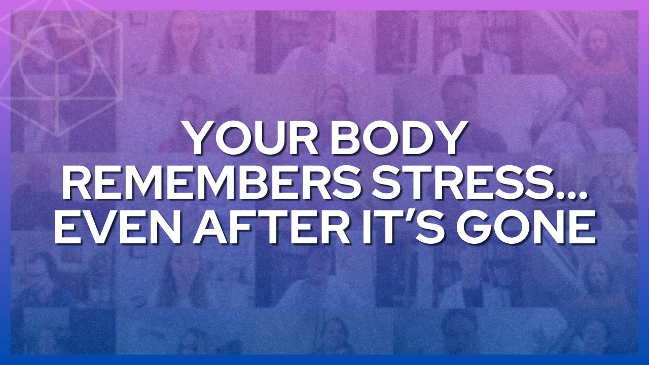 Your Body Remembers Stress... Even After It’s Gone