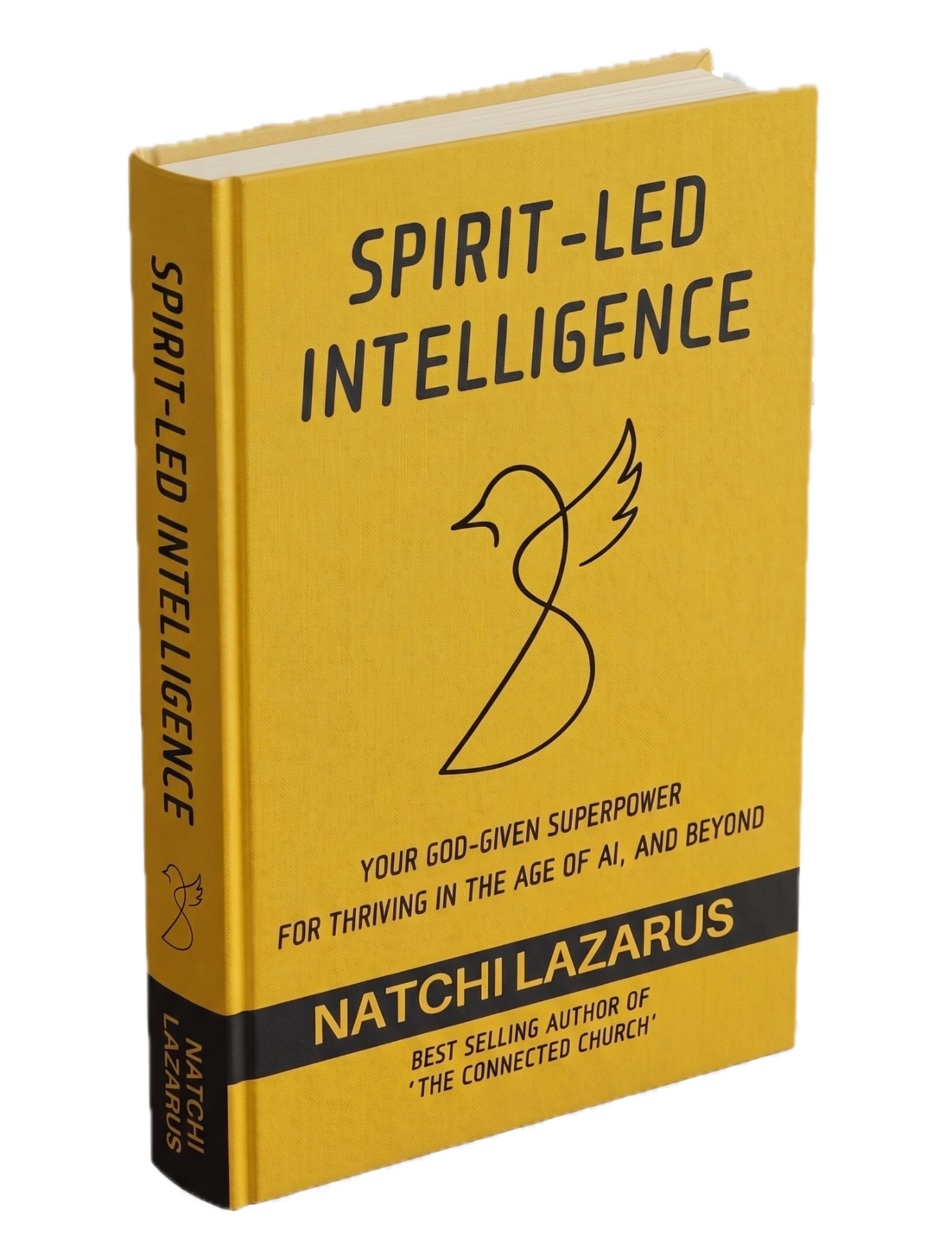 Spirit-led Intelligence Book