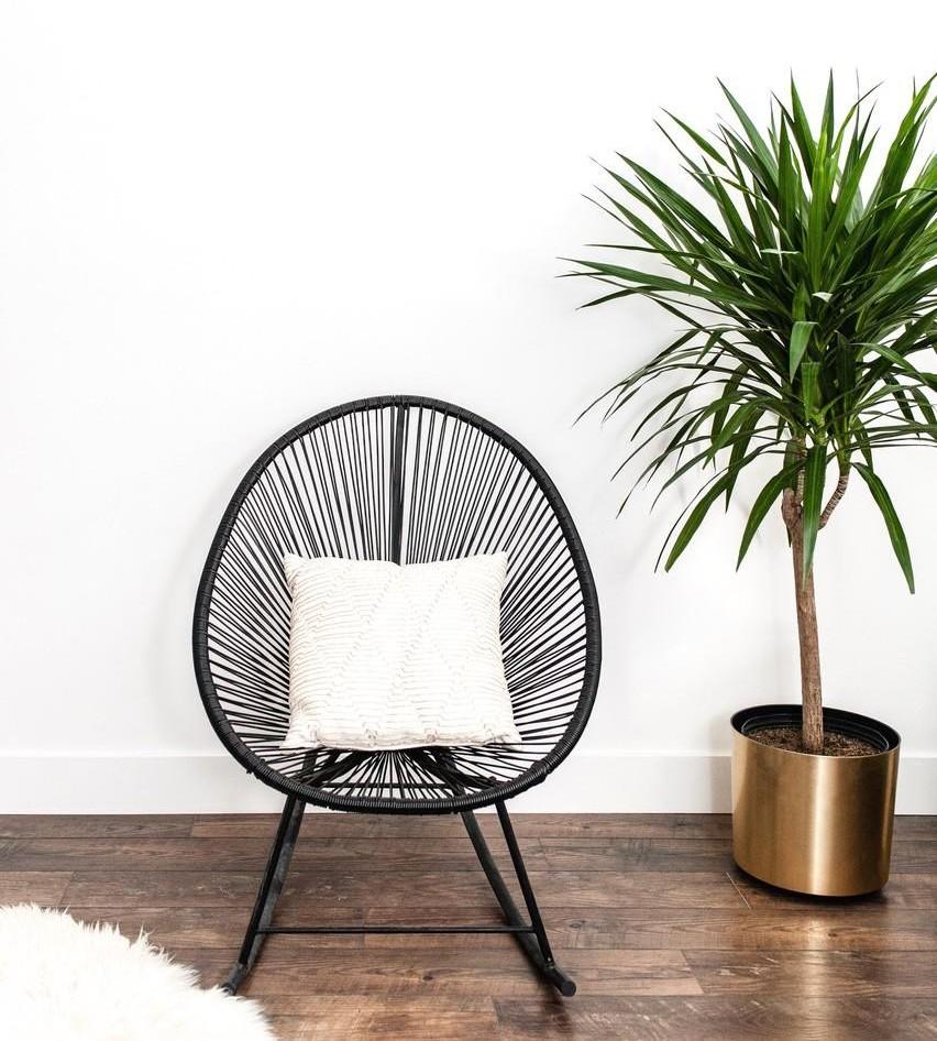 Stylish chair and potted plant used for home staging design